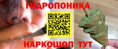 прущие грибы Заволжье
