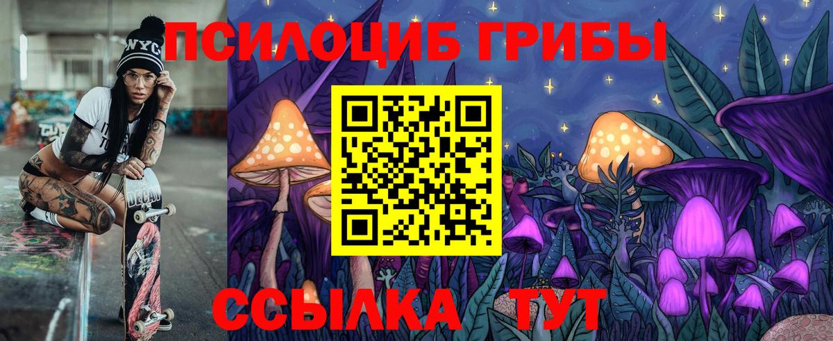 Псилоцибиновые грибы Psilocybine cubensis  Вход с VPN  наркота  Находка 